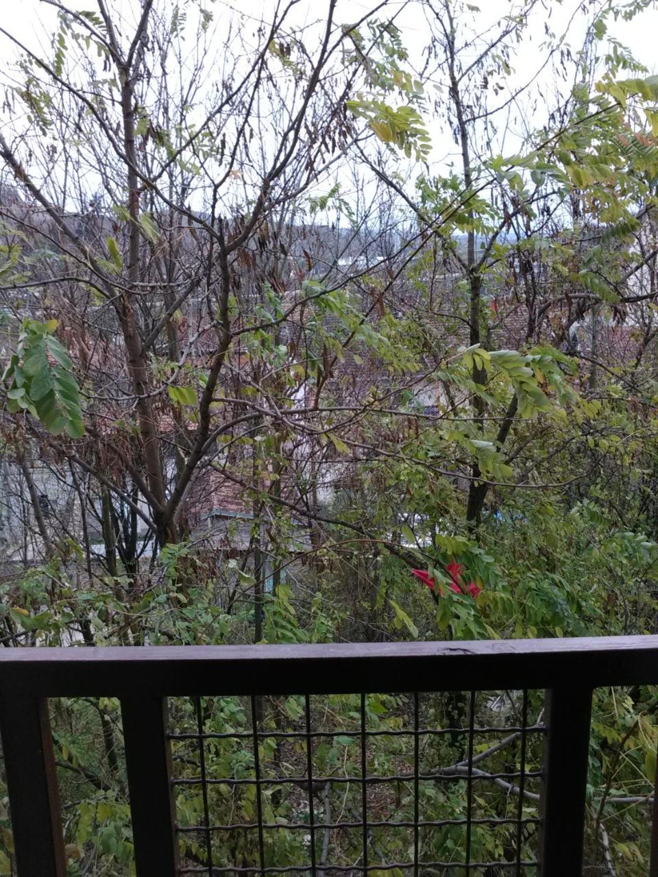 Ferienwohnung Keti 2 Belgrad Exterior foto